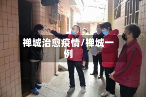 禅城治愈疫情/禅城一例