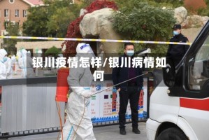 银川疫情怎样/银川病情如何