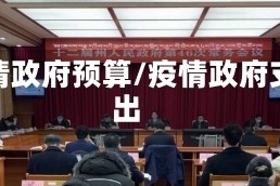 疫情政府预算/疫情政府支出