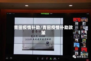 青田疫情补助/青田疫情补助政策