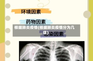 根据肺炎疫情(根据肺炎疫情分为几级)