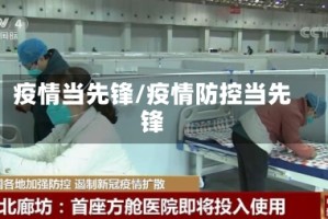 疫情当先锋/疫情防控当先锋