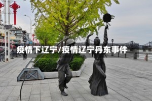 疫情下辽宁/疫情辽宁丹东事件