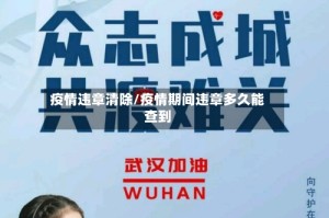 疫情违章清除/疫情期间违章多久能查到