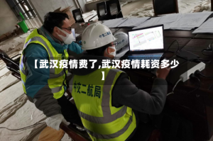 【武汉疫情费了,武汉疫情耗资多少】