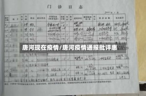 唐河现在疫情/唐河疫情通报批评惠