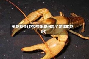 螯虾疫情(虾疫情出现问题了是哪的虾啊)