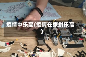 疫情中乐高(疫情在家拼乐高)