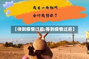 【待到疫情过后,等到疫情过后】