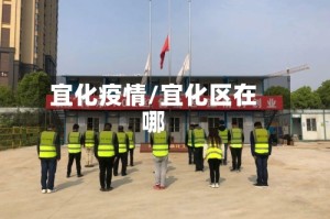 宜化疫情/宜化区在哪