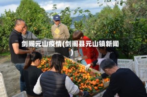 剑阁元山疫情(剑阁县元山镇新闻)