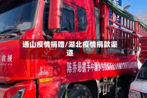 通山疫情捐赠/湖北疫情捐款渠道