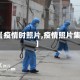 【疫情时照片,疫情照片集】