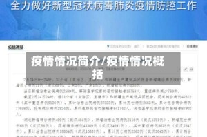 疫情情况简介/疫情情况概括
