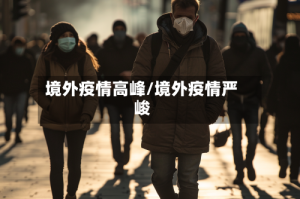 境外疫情高峰/境外疫情严峻