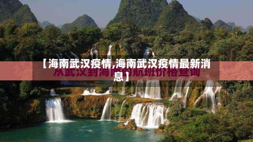 【海南武汉疫情,海南武汉疫情最新消息】-第2张图片
