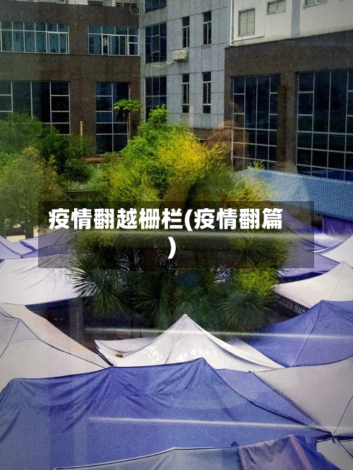疫情翻越栅栏(疫情翻篇)-第1张图片
