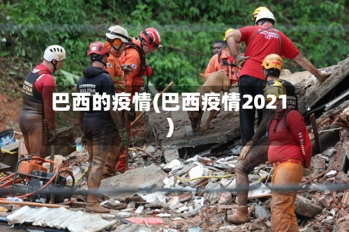 巴西的疫情(巴西疫情2021)-第1张图片