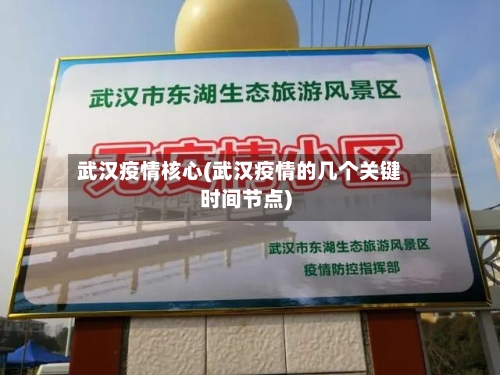 武汉疫情核心(武汉疫情的几个关键时间节点)-第1张图片
