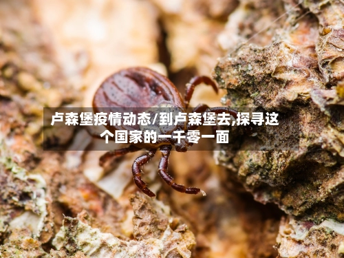 卢森堡疫情动态/到卢森堡去,探寻这个国家的一千零一面-第2张图片