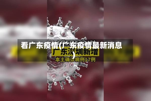 看广东疫情(广东疫情最新消息)-第2张图片