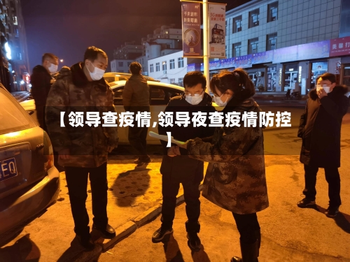 【领导查疫情,领导夜查疫情防控】-第2张图片