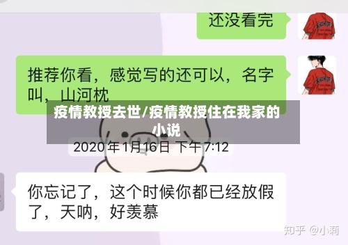 疫情教授去世/疫情教授住在我家的小说-第1张图片