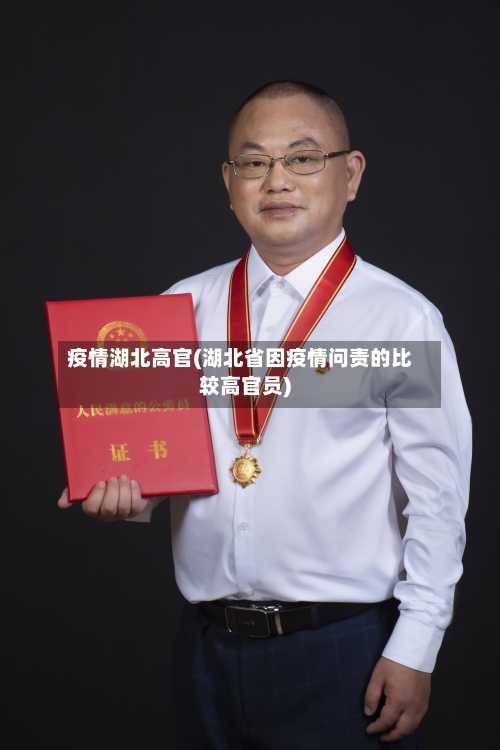 疫情湖北高官(湖北省因疫情问责的比较高官员)-第3张图片