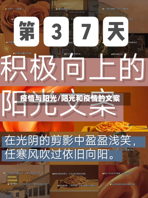 疫情与阳光/阳光和疫情的文案-第1张图片