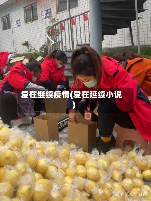 爱在继续疫情(爱在延续小说)-第2张图片