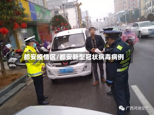 都安疫情区/都安新型冠状病毒病例-第2张图片