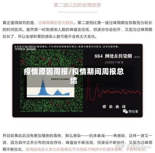 疫情原因周报/疫情期间周报总结-第3张图片