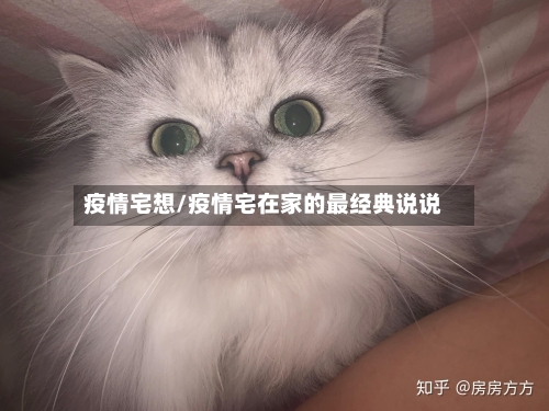 疫情宅想/疫情宅在家的最经典说说-第1张图片