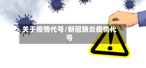 关于疫情代号/新冠肺炎疫情代号-第1张图片