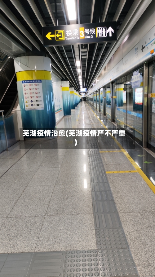 芜湖疫情治愈(芜湖疫情严不严重)-第2张图片