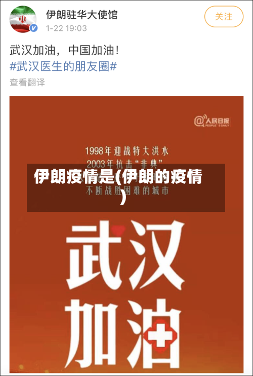 伊朗疫情是(伊朗的疫情)-第2张图片