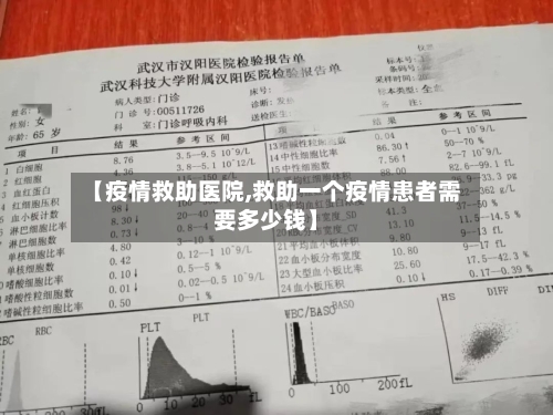 【疫情救助医院,救助一个疫情患者需要多少钱】-第2张图片