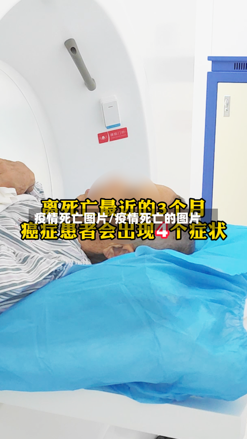 疫情死亡图片/疫情死亡的图片-第3张图片