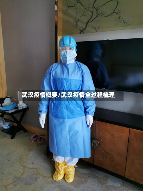 武汉疫情概要/武汉疫情全过程梳理-第1张图片