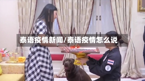 泰语疫情新闻/泰语疫情怎么说-第2张图片