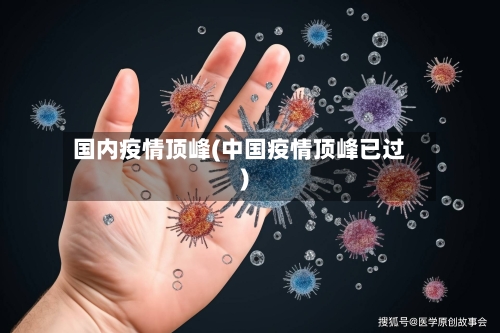 国内疫情顶峰(中国疫情顶峰已过)-第2张图片