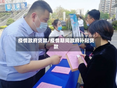 疫情政府贷款/疫情期间政府补贴贷款-第3张图片