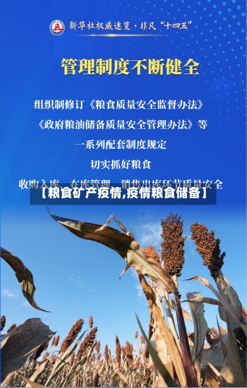 【粮食矿产疫情,疫情粮食储备】-第1张图片