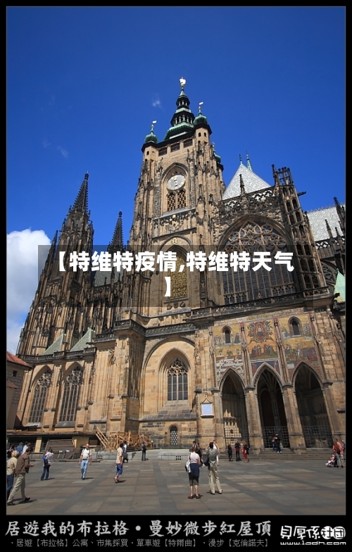 【特维特疫情,特维特天气】-第2张图片