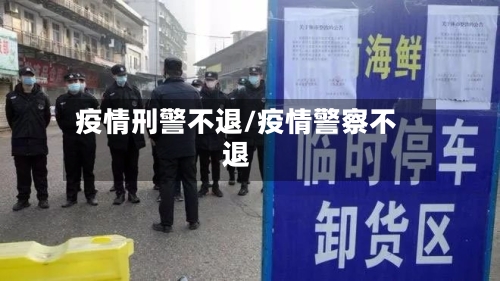 疫情刑警不退/疫情警察不退-第2张图片