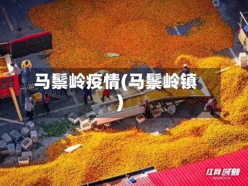 马鬃岭疫情(马鬃岭镇)-第2张图片