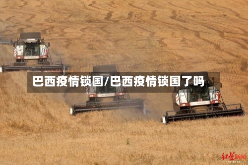 巴西疫情锁国/巴西疫情锁国了吗-第2张图片