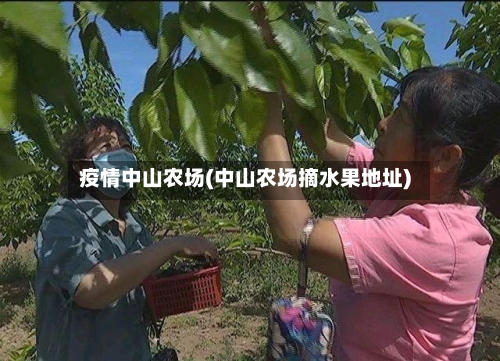 疫情中山农场(中山农场摘水果地址)-第1张图片