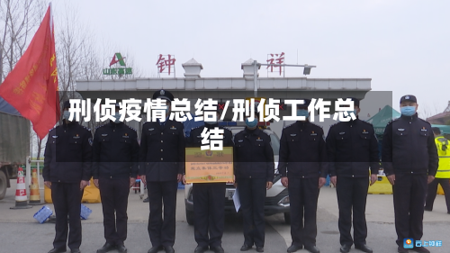 刑侦疫情总结/刑侦工作总结-第1张图片