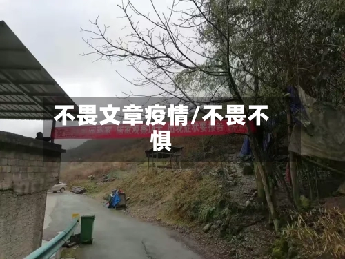 不畏文章疫情/不畏不惧-第3张图片